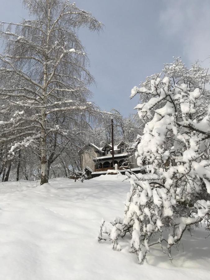 Kuca Za Odmor ,,Balkan” Crni Vrh المظهر الخارجي الصورة