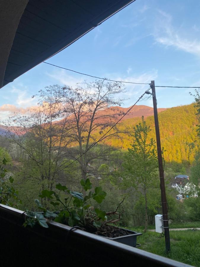 Kuca Za Odmor ,,Balkan” Crni Vrh المظهر الخارجي الصورة