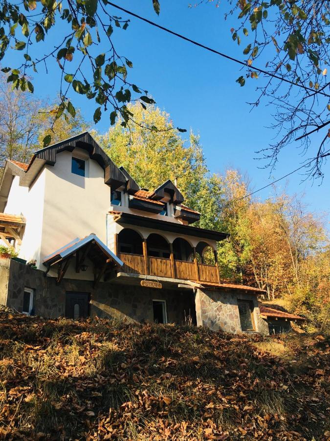 Kuca Za Odmor ,,Balkan” Crni Vrh المظهر الخارجي الصورة